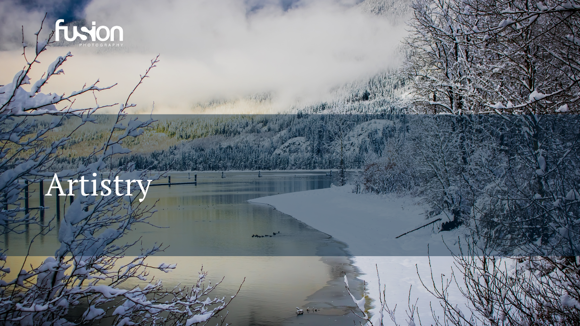 charlotte nc snow covered trees charlotte nc snow covered trees